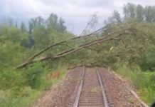 Il maltempo si abbatte anche sui binari, sospensione e ritardi