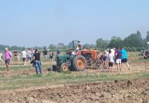 Manodopera nei campi, Confagricoltura Mantova chiama a raccolta il mondo politico mantovano