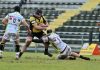 Rugby Top 12 – Im Exchange Viadana, confermato anche Brandolini brand