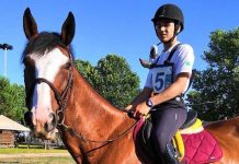 Equitazione – Tiranti e Cavicchi ai Campionati Europei di Trec