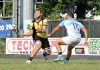 Rugby Top 12 – Arletti: “L’Im Exchange Viadana promette bene” gelo3