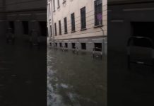 Bomba d’acqua sulla città, alberi sradicati e vie del centro allagate