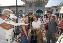 Più di 20mila persone alla DogFest al Mantova Outlet Village