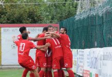 Calcio Serie D – Mantova, contro il Lentigione è caccia al tris. Altinier out I giocatori del Mantova in festa dopo un gol