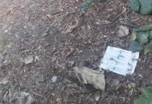 Rappresaglia ai giardini di viale Piave: presto telecamere anti-droga