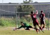Calcio Juniores Prov. – Borgo Virgilio, Castiglione e Pegognaga a pieni giri casti