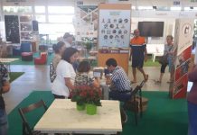 Anche i ragazzi de “Il Ponte” di Sermide tra i protagonisti di Fiera Millenaria 2019