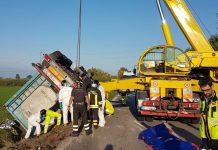 Incidente sulla Romana tra un tir e un furgone, muore 38enne di Quistello
