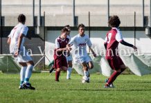 Moglia – Quistello