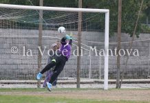 Gonzaga – Castellana