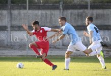 Gonzaga – Curtatone