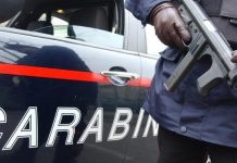 Vanno a vedere la mostra di Giulio Romano e i ladri rovesciano la casa