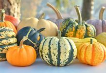 Castagne? Nossignore, meloni e angurie “regnano” anche in autunno