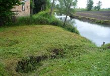 Roncoferraro. Soldi per contenere le nutrie: l’sos del sindaco