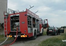 Incendio in un allevamento: bruciati 30 maialini