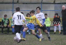 Viadana – Borgo Virgilio