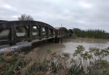 Allerta fiumi, il Po cresce e il Secchia preoccupa ancora