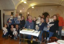 A Mantova raduno di proprietari di Westy