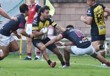 Rugby Top 12 – Im Exchange cerca conferme a Mogliano Apperley