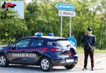 Topo d’appartamento preso dopo inseguimento notturno nei campi