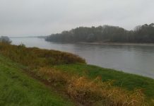 Cala il Po, in sette tornano a casa