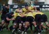 Rugby Top 12 – Im Exchange Viadana, il miracolo non riesce