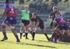 Rugby Top 12 – L’Im Exchange Viadana sconfitta a Rovigo Gregorio