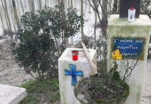 Rubata la Madonnina del piccolo santuario dei Correggioli di Viadana