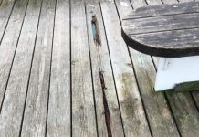 Ponte Stralato, serve un intervento rapido e mirato