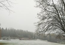 Prima neve, imbiancato il Parco Sigurtà