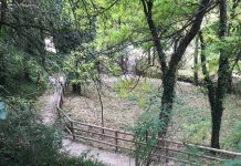 Aria nuova in due parchi di Castiglione, concessioni per i prossimi 12 anni