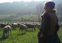 Le montagne delle donne pastore, oggi al cinema Carbone