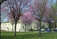 Fondazione Nuvolari di Roncoferraro: ecco il nuovo cda dei prossimi 5 anni