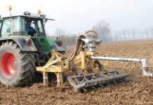 Pomodoro, campagna al via : a Mantova si coltivano 3.998 ettari