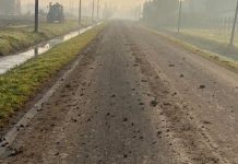 Strada imbrattata dai trattori, protestano i cittadini di Schivenoglia