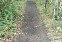 Follia contro i ciclisti: trappole con chiodi lungo i sentieri