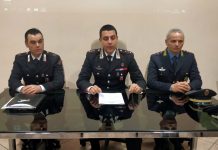 Maxi coltivazione di “maria” in una corte agricola di Sustinente: arrestati due albanesi