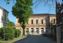 Cerco/offro lavoro: proseguono gli incontri di “Job Natale Suzzara!”