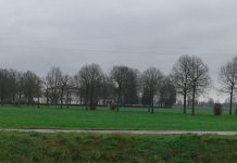 Marmirolo: cade dal trabatello, muore il presidente della Robur Marmirolo