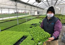 Grazie a Cia prodotti da orto e giardino arrivano direttamente a casa