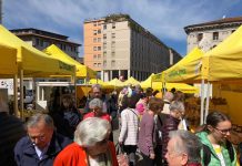 Coronavirus, le aziende sul Lungorio consegnano a domicilio agli anziani