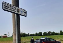 I Carabinieri salvano tartaruga protetta