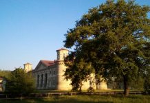 Bosco Fontana di nuovo aperto da questo fine settimana