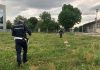 Bocconi avvelenati: muore un cane, altri tre si sono salvati. Indaga la Polizia locale