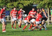 Rugby – Il Mantova riparte: da martedì via agli allenamenti ruby