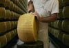 E’ online Scaglie, il nuovo progetto editoriale di Parmigiano Reggiano