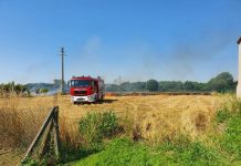 Scintille dal palo dell’Enel, incendio nel campo di mais