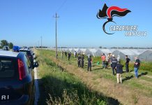 Caporalato, blitz dei Carabinieri in azienda agricola