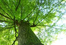 I centro Parco del Mincio riapre al pubblico