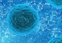 Covid e crisi economica, a soffrire soprattutto i comuni del Nord